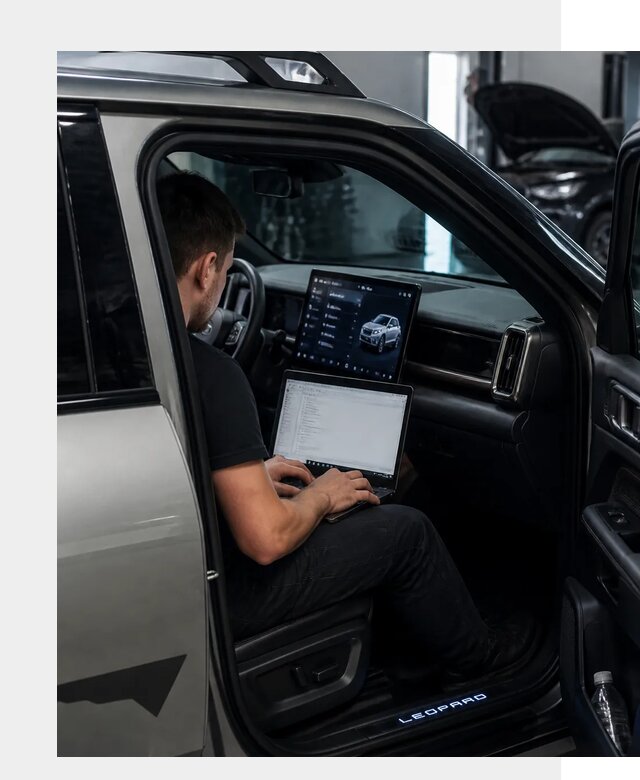 Русификация BYD Leopard 3 в Липецке по цене от 20684 р. | ФастМобиль-Лпц